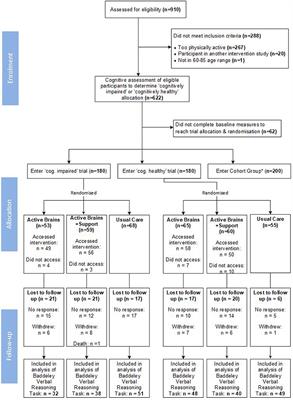 Parallel randomized controlled feasibility trials of the “Active Brains” digital intervention to protect cognitive health in adults aged 60–85